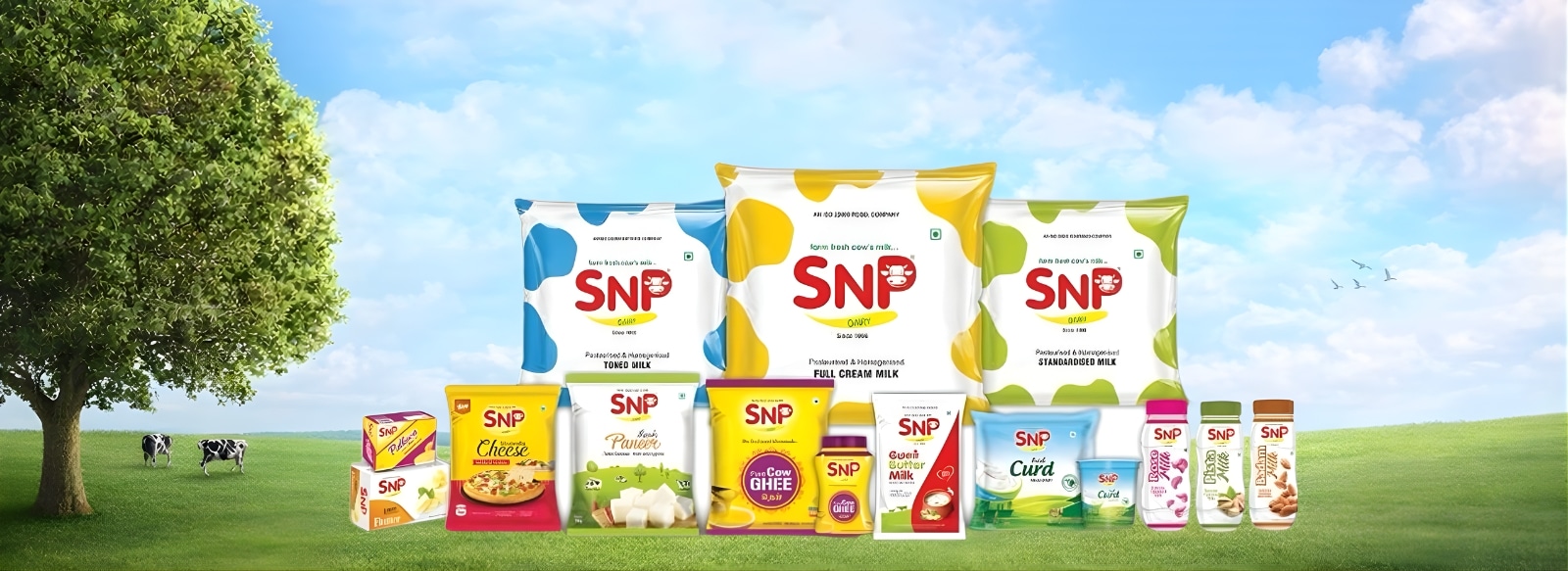 snpbanner1