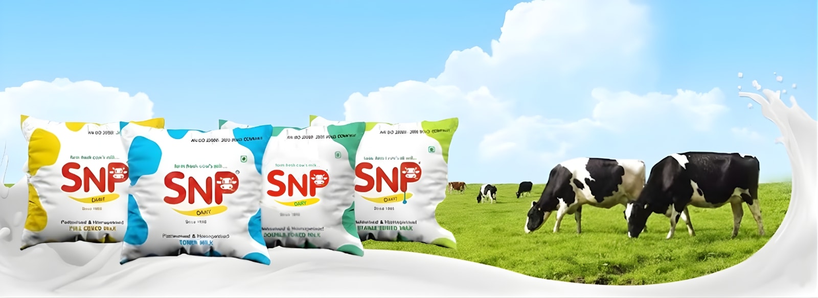 snpbanner2